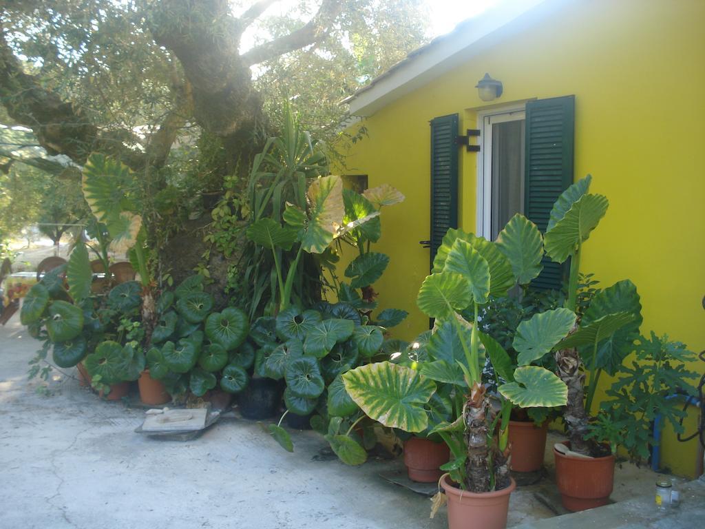 Villa Theodora Keri Extérieur photo